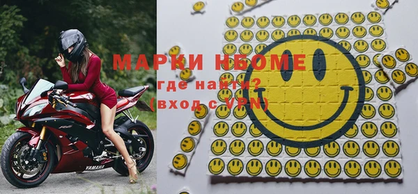 ГАЛЛЮЦИНОГЕННЫЕ ГРИБЫ Лагань