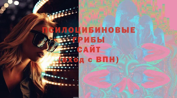 ГАЛЛЮЦИНОГЕННЫЕ ГРИБЫ Лагань