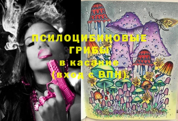 дживик Ладушкин