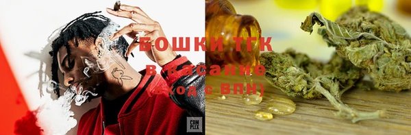 ГАЛЛЮЦИНОГЕННЫЕ ГРИБЫ Лагань