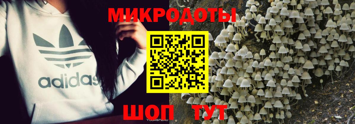 Галлюциногенные грибы Cubensis  Вход с VPN  Рыбинск 
